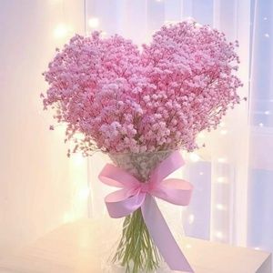 Meet your Posher, Jeanette a.